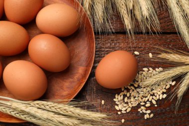 Çiğ yumurta ve buğday dalları tahta masada, düz yerde.
