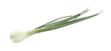 Taze taze soğan, beyaz üzerinde izole.