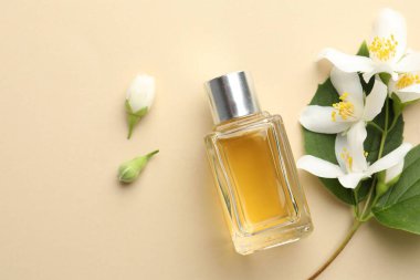 Bir şişe parfüm, güzel yasemin çiçekleri ve bej arka planda yeşil yapraklar. Metin için boşluk
