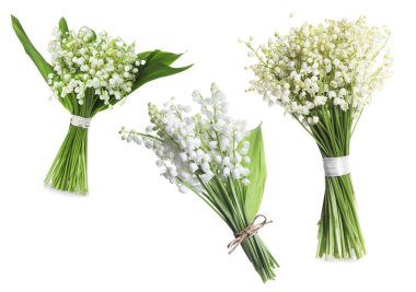 Beyaz çiçekli vadi zambakları, kolaj.