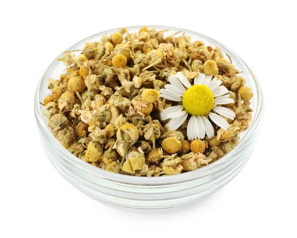 Kuru ve taze papatya çiçekleri beyaz kasede izole edilmiş.