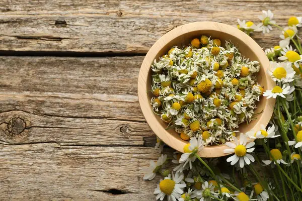Kasede papatyalar ve tahta masada taze çiçekler, üst manzara. Metin için boşluk
