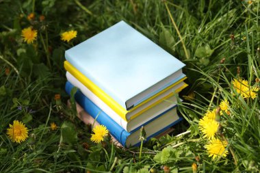 Yeşil çimenler üzerine farklı istiflenmiş kitaplar.