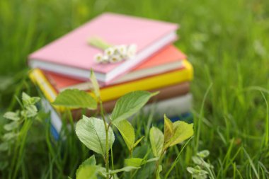 Yeşil çimlerin üzerine yığılmış kitaplar, yakın plan.