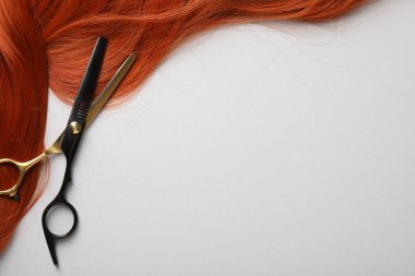 Işık arkaplan üzerinde saç teli ve makas, üst görüş. Metin için boşluk