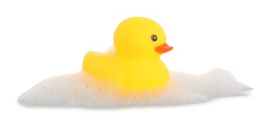 Beyaz bir ördek ve köpük.