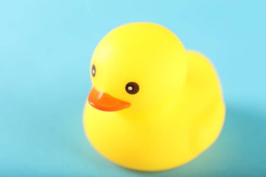 Açık mavi arka planda sevimli bir lastik ördek, yakın plan. Metin için boşluk