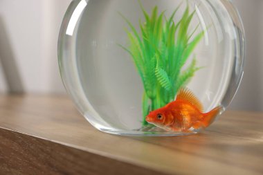 Yuvarlak akvaryumdaki güzel balıklar ahşap masada, yakın plan.