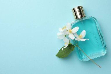 Bir şişe parfüm, güzel yasemin çiçekleri ve açık mavi arka planda yeşil yaprak, üst manzara. Metin için boşluk