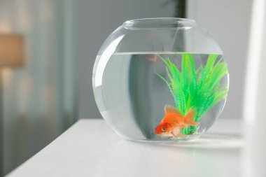 Yuvarlak akvaryumdaki güzel balıklar beyaz masada.