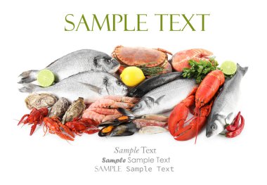 Beyaz arka planda farklı deniz ürünleri. Metin için alanı olan tasarım