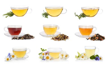 Cam bardaktaki bitki çayı ve beyaz kolajla izole edilmiş taze otlar.