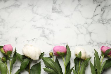 Beyaz mermer masanın üzerinde güzel şakayık çiçekleri olan tebrik kartı, düz yatıyordu. Metin için boşluk