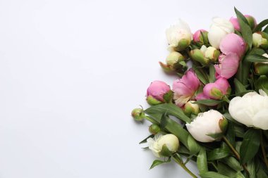 Beyaz arka planda güzel şakayık çiçekleri olan tebrik kartı, düz yatıyordu. Metin için boşluk