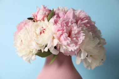 Açık mavi arkaplanda vazodaki güzel şakayıklar, yakın plan.