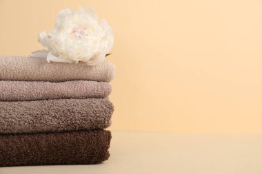 Bej arka planda bir yığın havlu ve şakayık çiçeği, yakın plan. Metin için boşluk