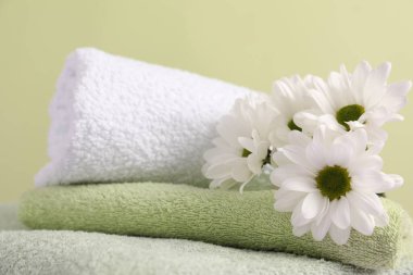 Yumuşak havlular ve soluk yeşil arka planda kasımpatı çiçekleri, yakın plan.