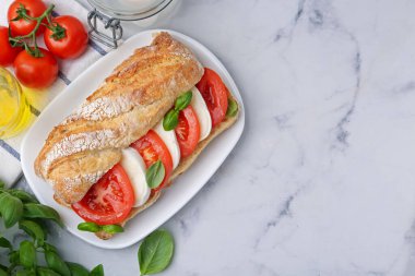 Mozarella peynirli, domatesli, fesleğenli, beyaz mermer masalı lezzetli bir sandviç. Metin için boşluk