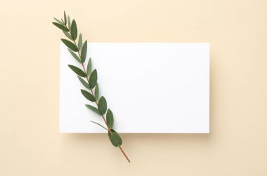 Boş davetiye kartı ve bej arka planda yeşil dal, üst görünüm