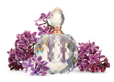 Bir şişe lüks parfüm ve beyaza ayrılmış leylak çiçekleri.