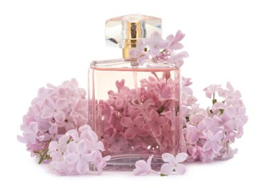 Parfüm ve güzel leylak çiçekleri beyaza izole edilmiş.