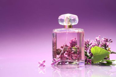 Ayna yüzeyinde parfüm ve leylak çiçekleri olan şişe renk değişimine karşı, yakın plan. Metin için boşluk