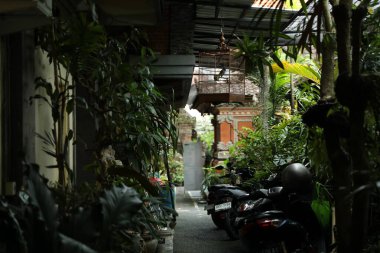 Bali, Endonezya - 15 Mayıs 2025: Scooterlar açık araziye yeşil bitkiler park etti