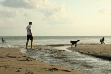 Bali, Endonezya - 20 Mayıs 2025: İnsanlar ve köpekler sahilde vakit geçiriyorlar