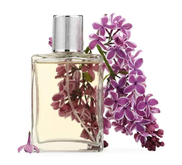 Bir şişe lüks parfüm ve beyaza ayrılmış leylak çiçekleri.