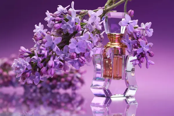 Ayna yüzeyinde leylak çiçekleri olan bir şişe parfüm ve dal. Renk eğimine karşı, yakın plan.