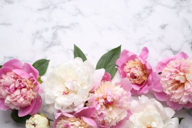 Güzel şakayıklar ve yeşil yapraklar beyaz mermer masada, düz yerde. Metin için boşluk