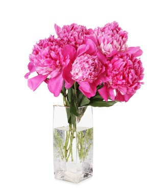 Vazodaki bir buket güzel şakayık beyaza izole edilmiş.