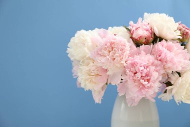 Açık mavi arka planda vazodaki güzel şakayıklar, yakın plan. Metin için boşluk