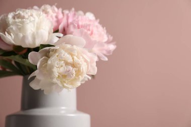 Pembe duvarın yanındaki vazoda güzel şakayıklar, yakın plan. Metin için boşluk