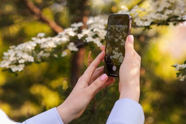 Açık havada akıllı telefondan bitki tanıma uygulaması kullanan bir kadın.