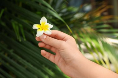 Açık havada güzel bir çiçek açan kadın, yakın plan.