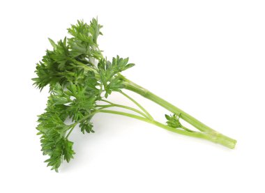 Beyaz maydanozlu taze maydanoz.