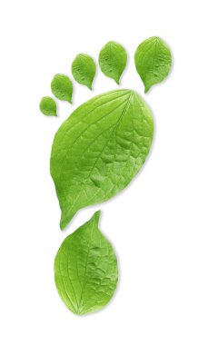 Beyaz arka planda yeşil yapraklardan yapılmış insan ayak izleri, üst manzara. Çevre bakımı, ekoloji koruması, CO2 emisyonunun azaltılması