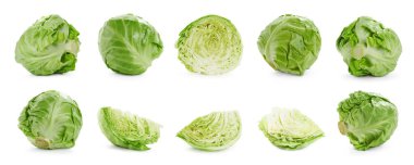 Beyaz arka planda taze lahana, kolaj