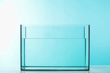 Açık mavi zemin üzerinde su bulunan cam akvaryum