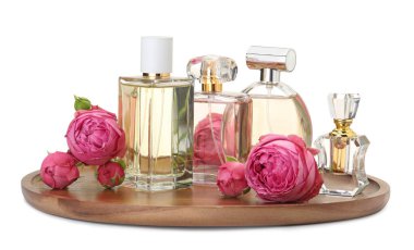 Birçok farklı parfüm şişeleri ve güller beyaz üzerine izole edilmiş.