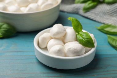 Mozzarella peynir topları ve fesleğen mavi ahşap masada, yakın plan.