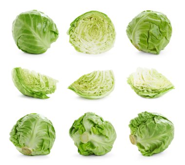 Beyaz arka planda taze lahana, kolaj