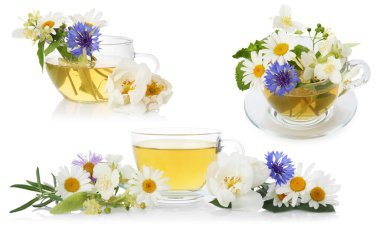 Cam bardaktaki bitki çayı ve beyaz kolajla izole edilmiş taze otlar.