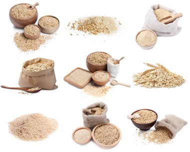 Yulaf kepeği, tam tahıllar ve yuvarlanmış taneler beyaza izole edilmiş, set.