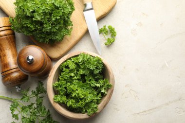 Taze maydanoz, baharatlar ve bıçak ışık masasında, düz yerde. Metin için boşluk