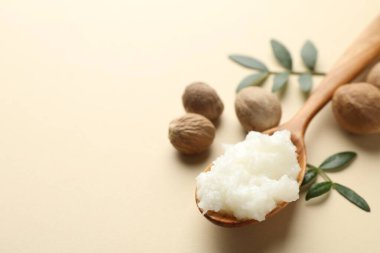 Tereyağı, fındık ve yaprakları bej arka planda, yakın plan. Metin için boşluk