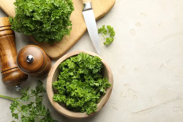 Taze maydanoz, baharatlar ve bıçak ışık masasında, düz yerde. Metin için boşluk