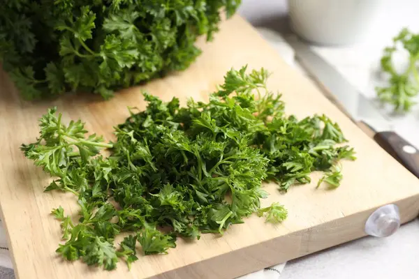 Işık masasında taze kesilmiş maydanoz, yakın plan.