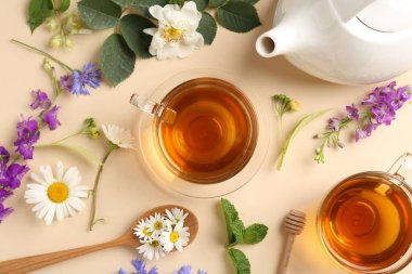 Cam fincanlarda aromatik bitki çayı, farklı çiçekler, bej arka planda nane ve çaydanlık, düz uzanma